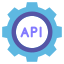 api image